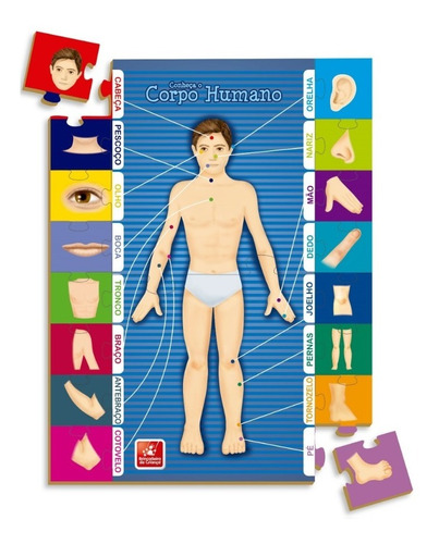 Conhecendo o Corpo Humano Brinquedo Educativo de Madeira 