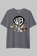 Camiseta Looney Tunes Personagens WB