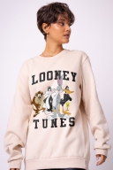 Moletom Looney Tunes Personagens