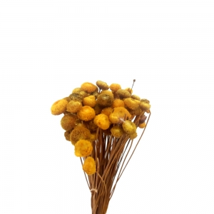Buquê Botão Bolinha Flor Arte Amarelo 40cm Desidratado